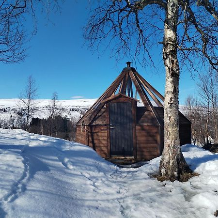 Hessdalen Ufocamp Apartment Varhus Luaran gambar